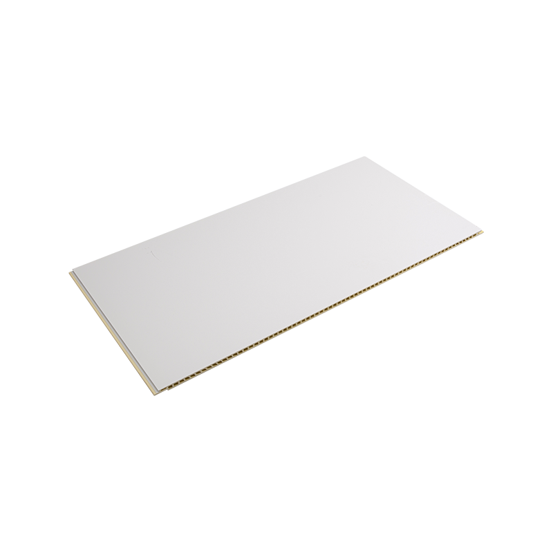 Isolerend, energiebesparend, eenvoudig te onderhouden WPC-composiet wandpaneel